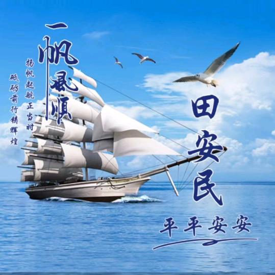 光头哥