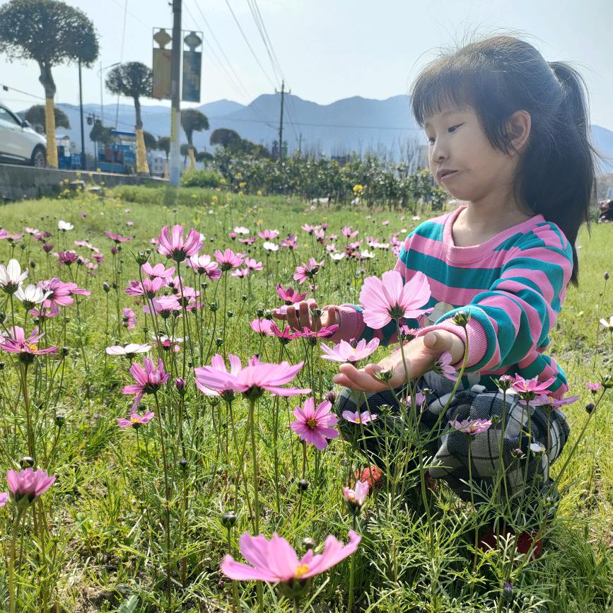 假心小饼干