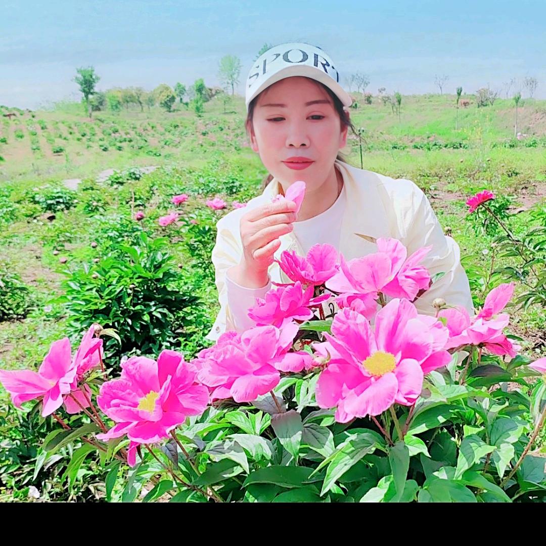 桂桂