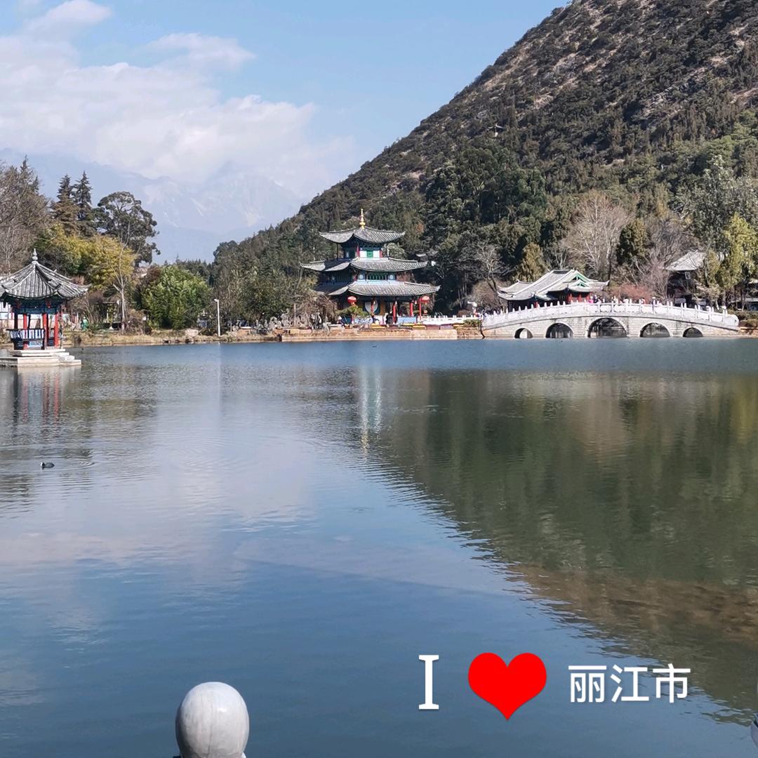 生命