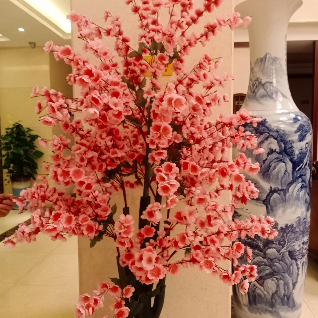 自由飞翔
