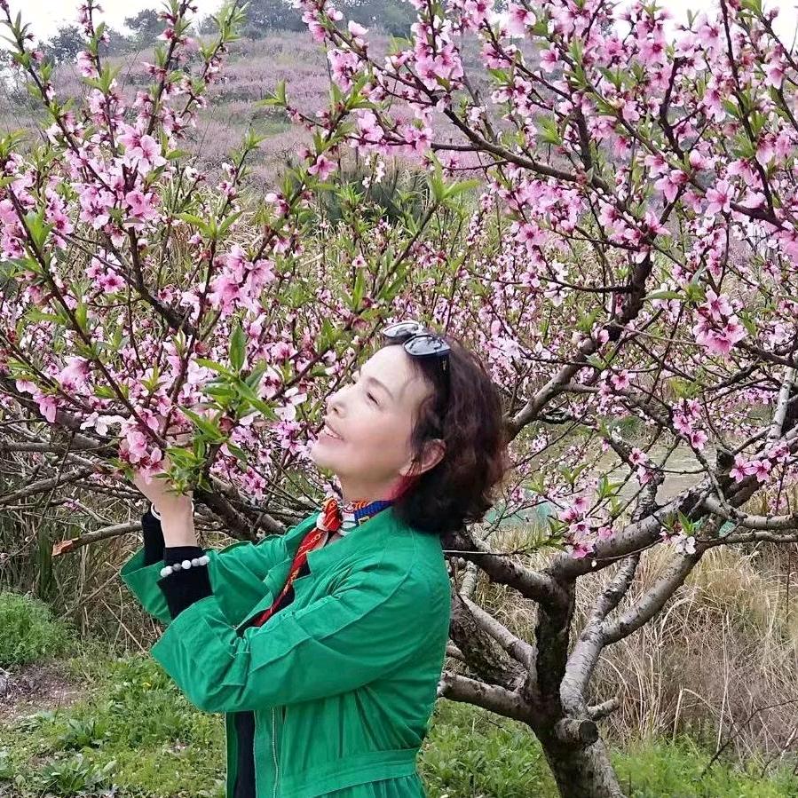 🌴春🌷