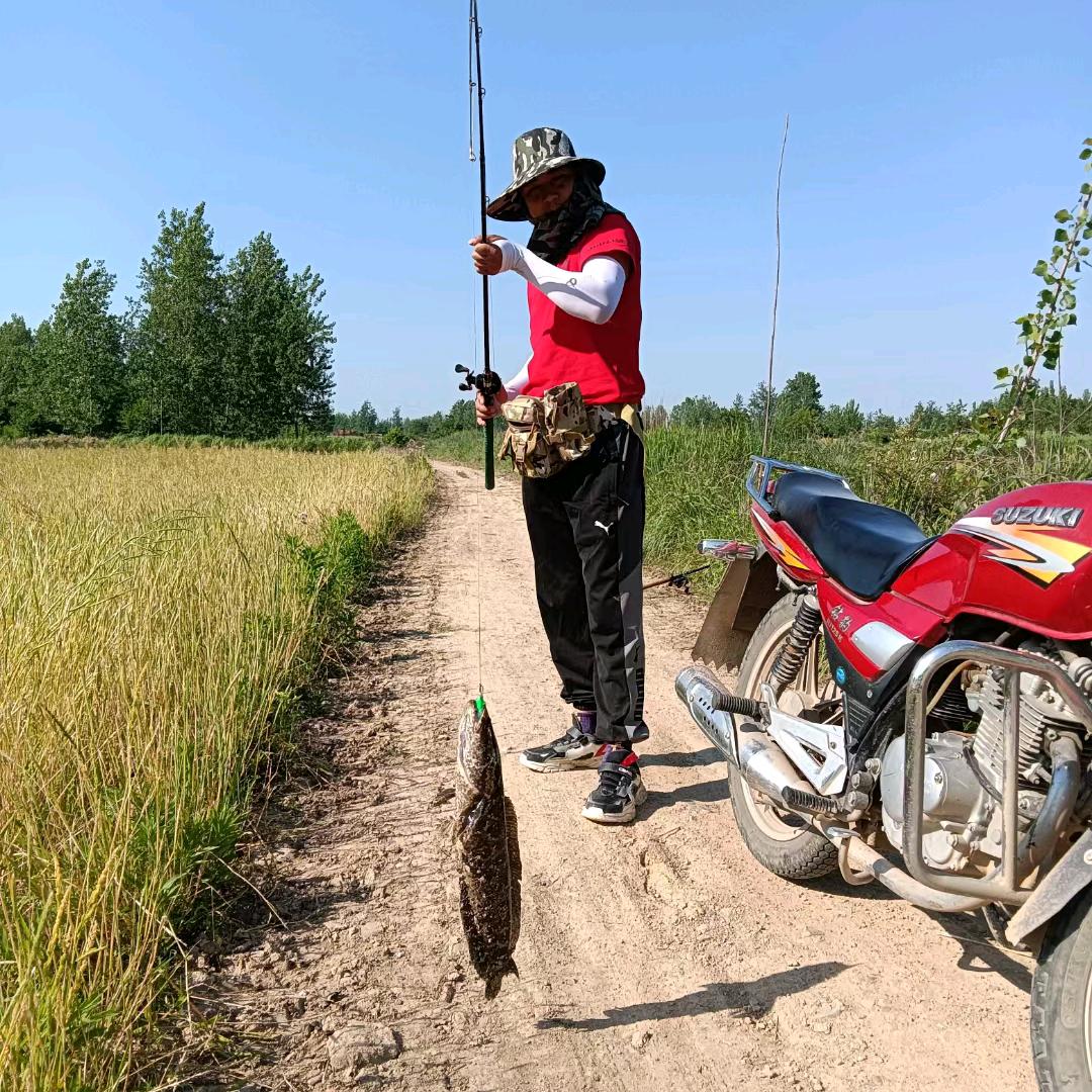 宇宙超级无敌大帅锅