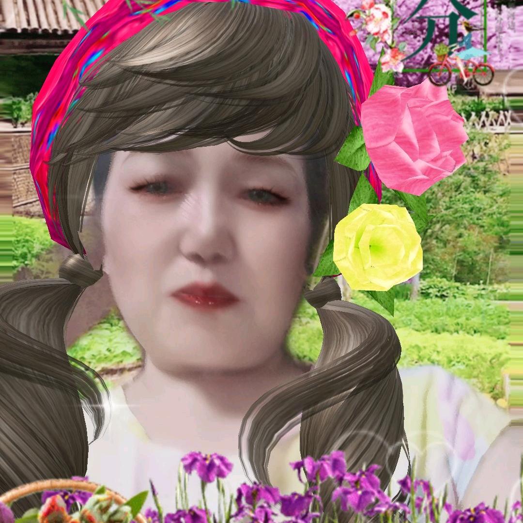 鹰