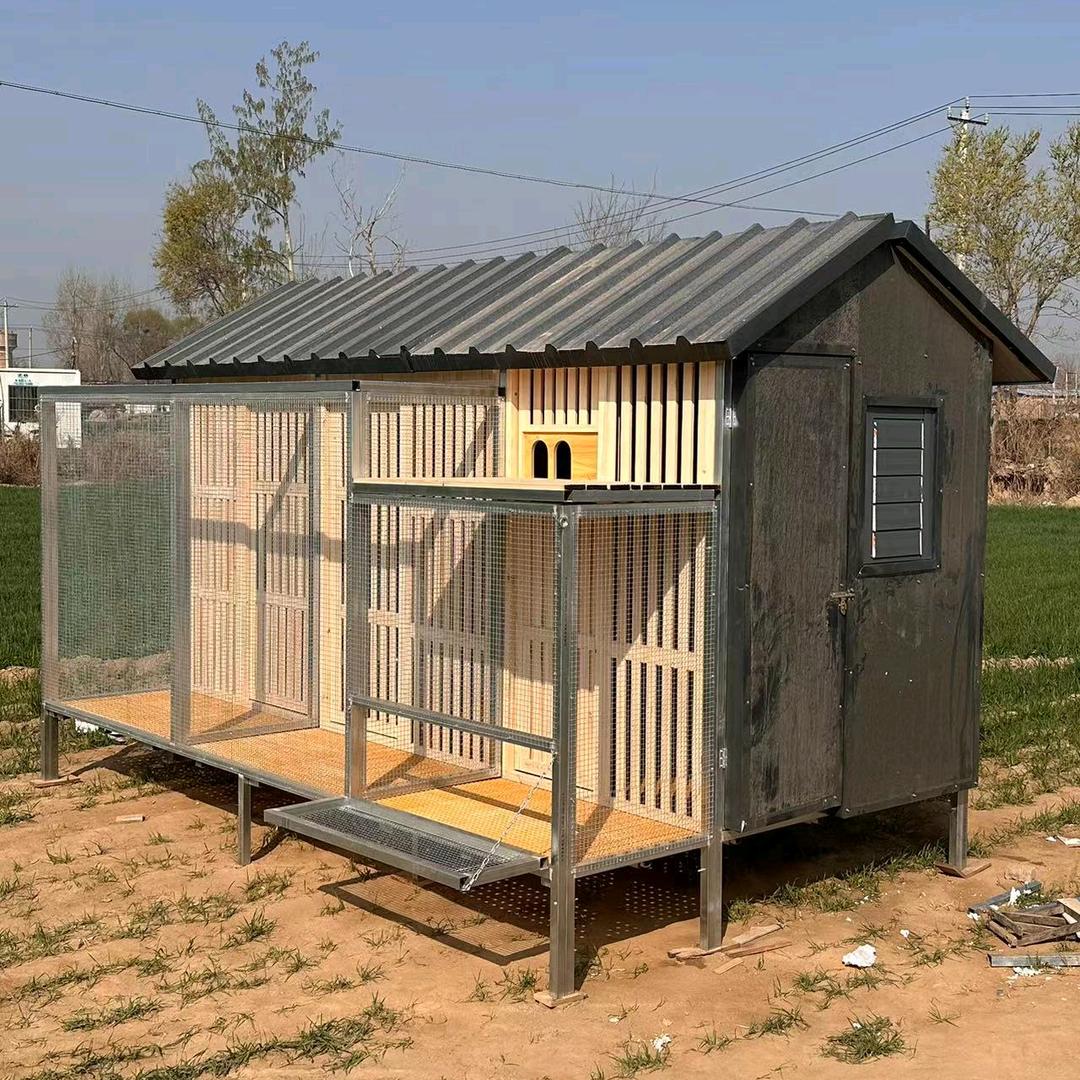 诚信鸽舍鸽具用品