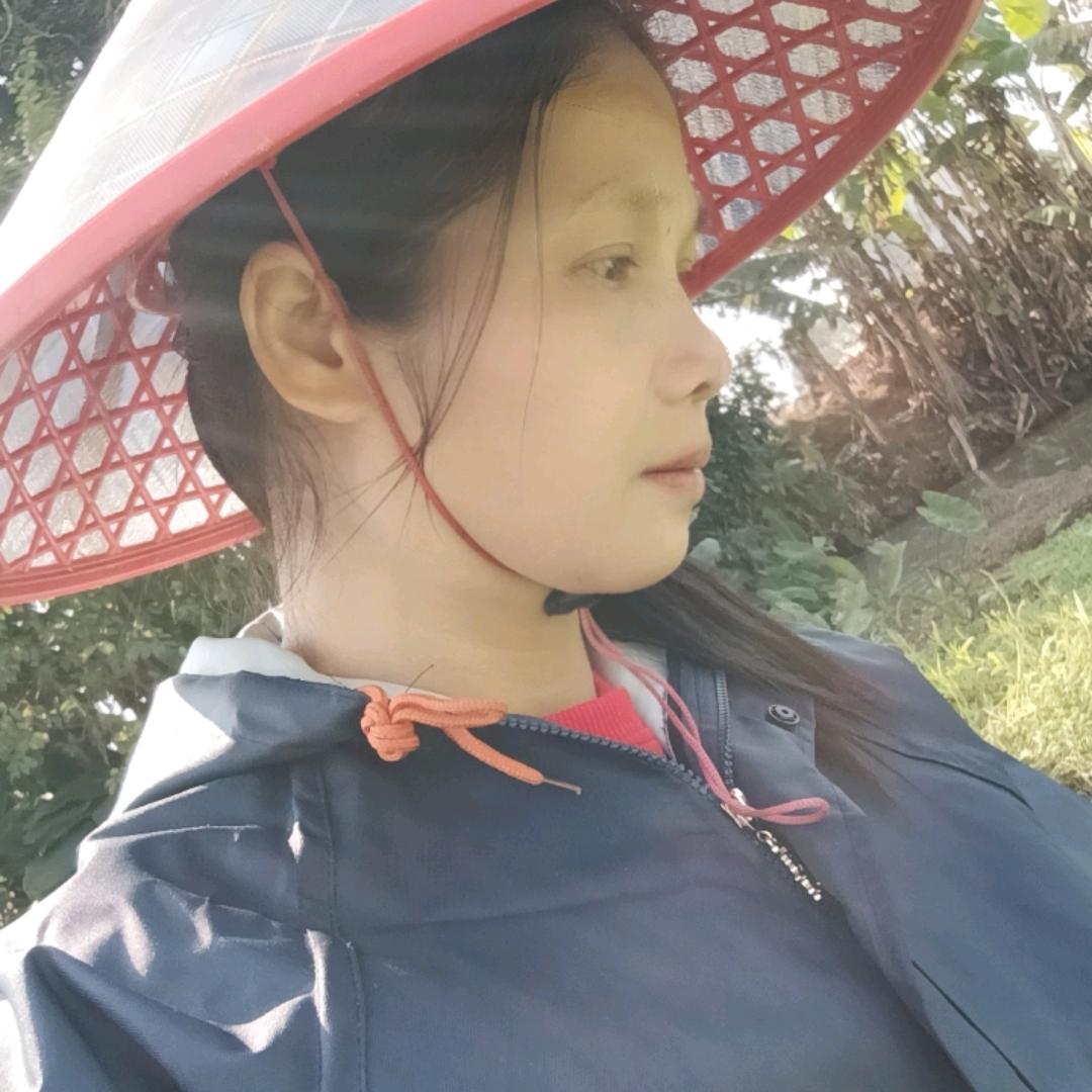 独舞的枫叶