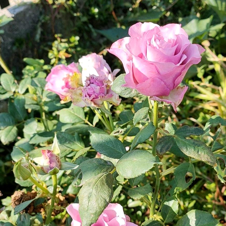 艾雪女装服饰店好物推荐