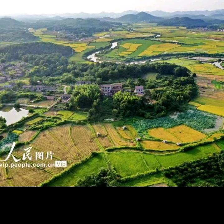 一尘（龙凤宝贝爷爷👴）