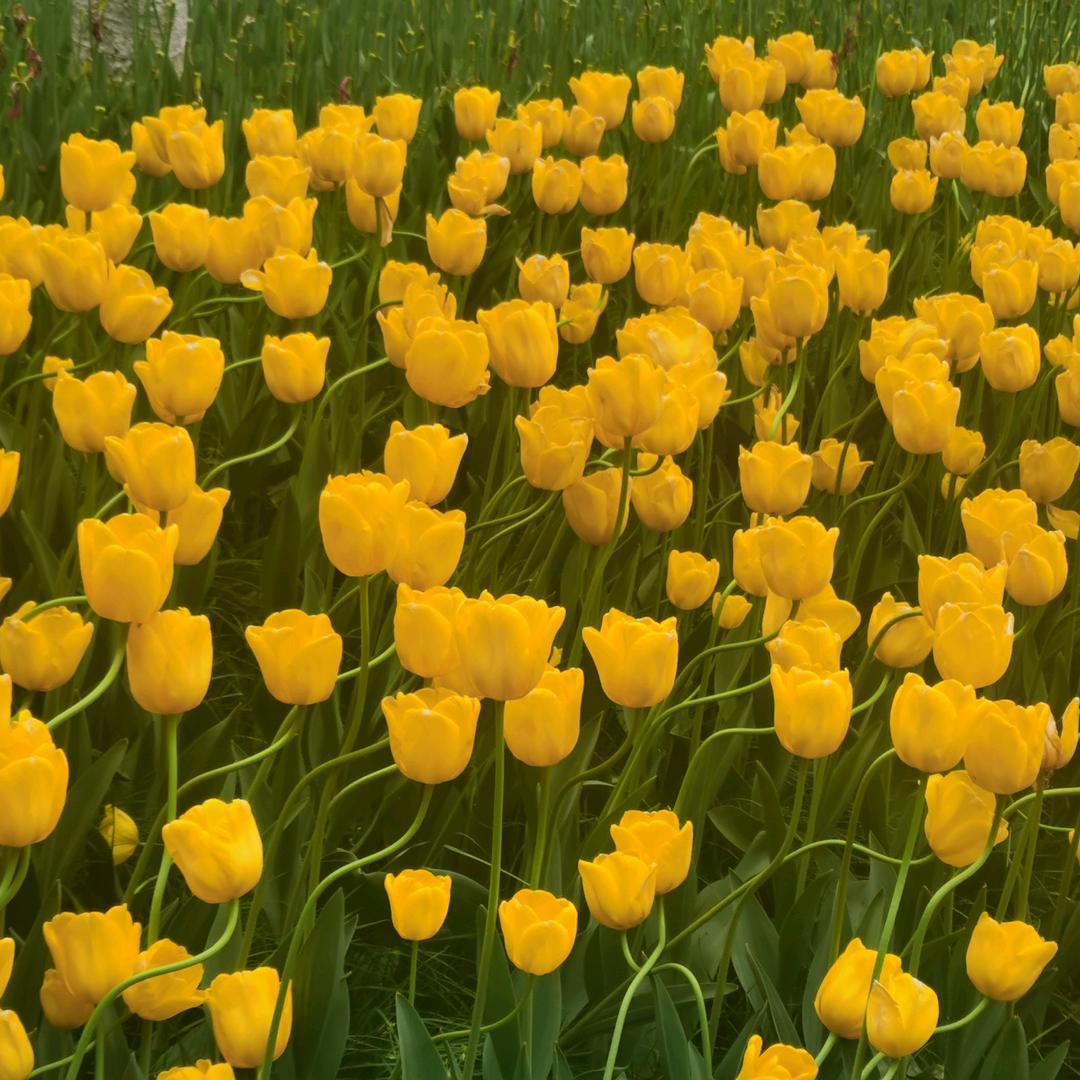 美丽心情哇哇哇