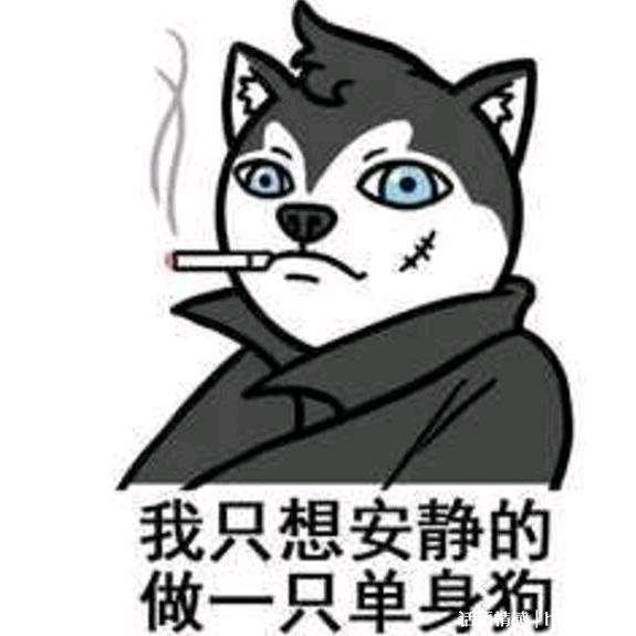 赵成杰🇨🇳