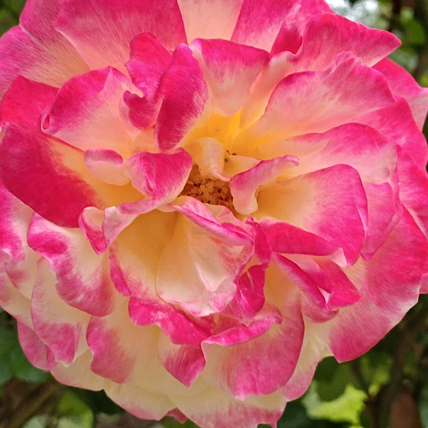 好环境，不如好心情。