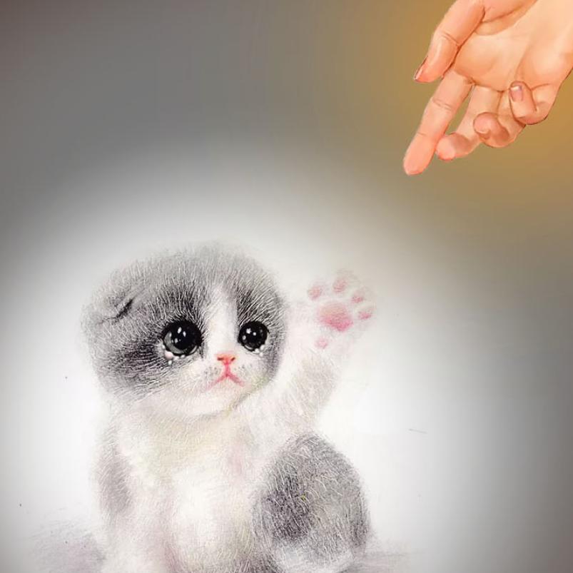 小蜂鸟宠物百科