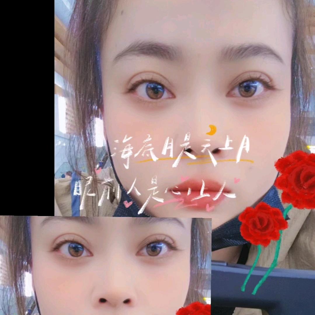 🌹️淡定