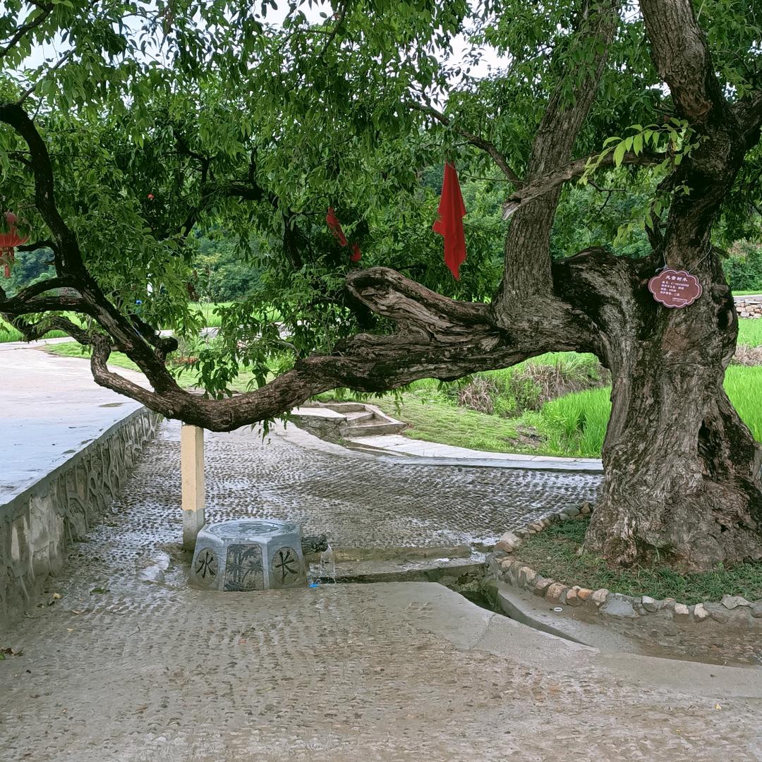 没事来溜达溜达