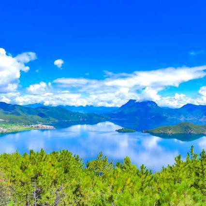 正创文化任我行