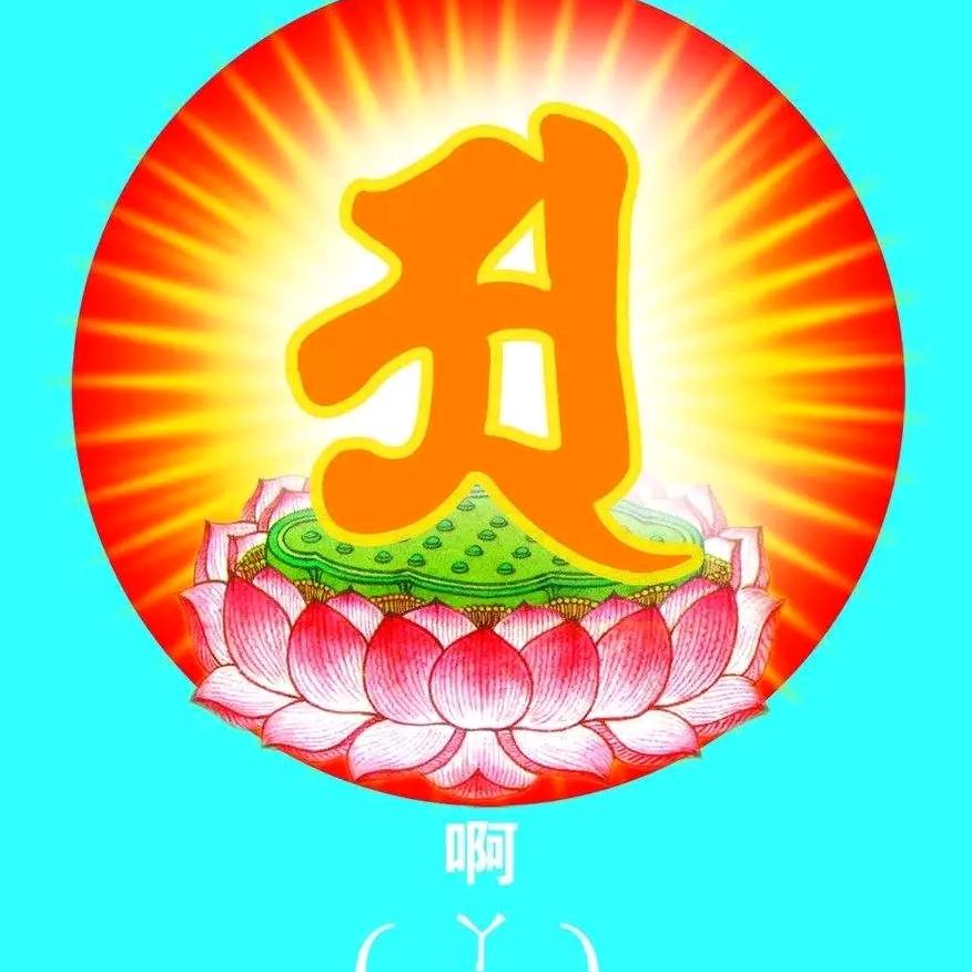 佛缘🙏《能善》(请勿连赞)