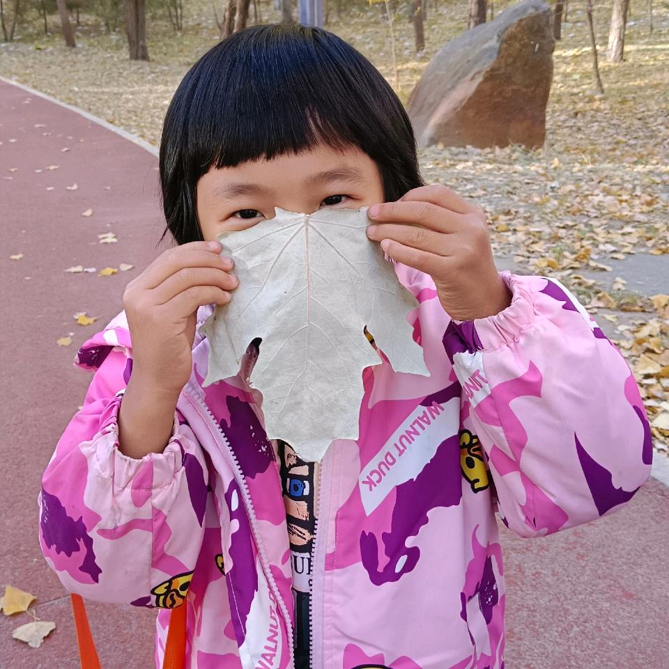 喆喆吖
