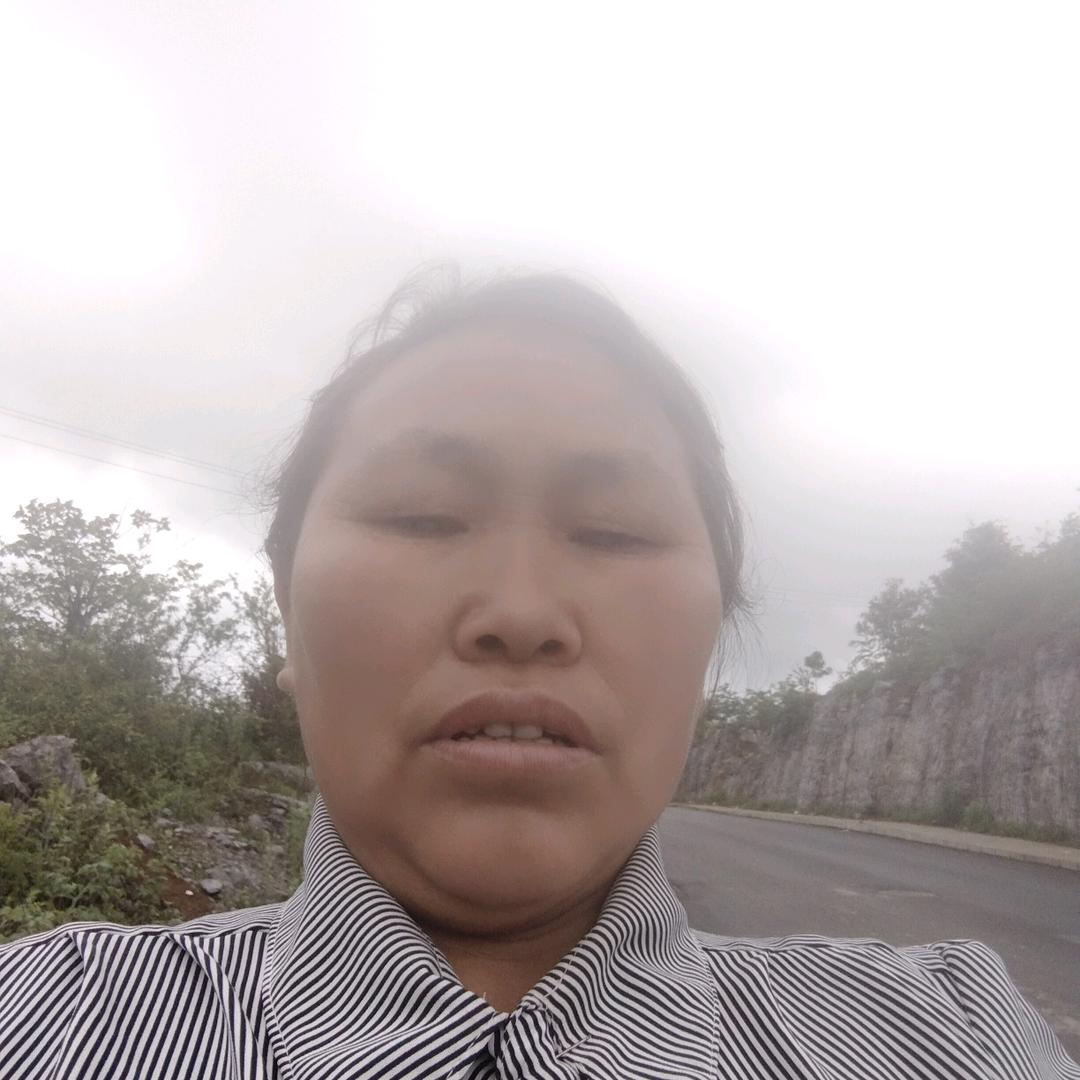 高安琴