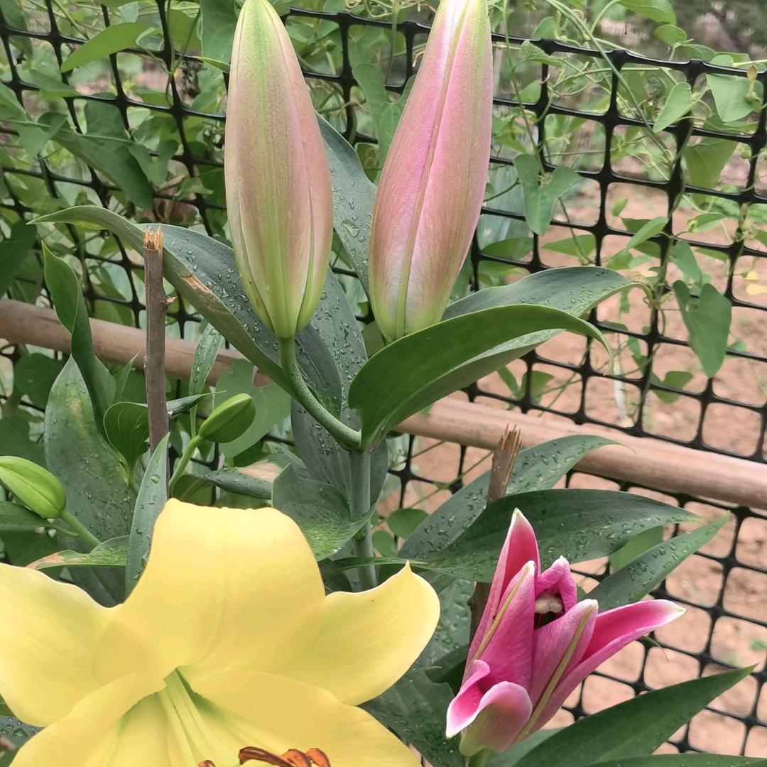 慧会（景色怡人）