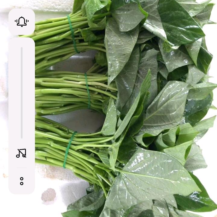 真爱在那里