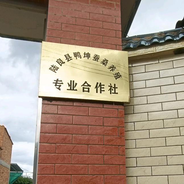 陆良县鸭坤蚕桑养殖专业合作社