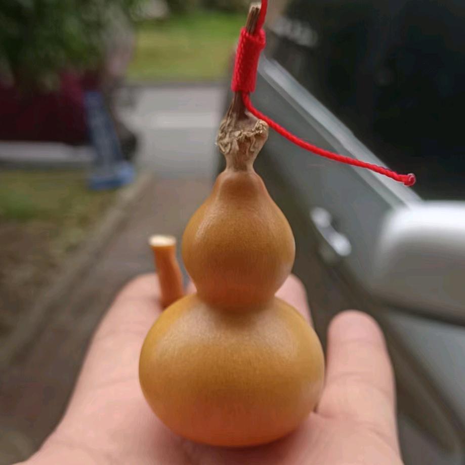 老陈  草业