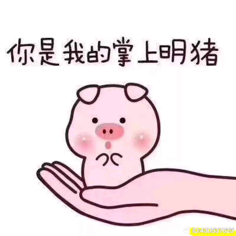 800个心眼子