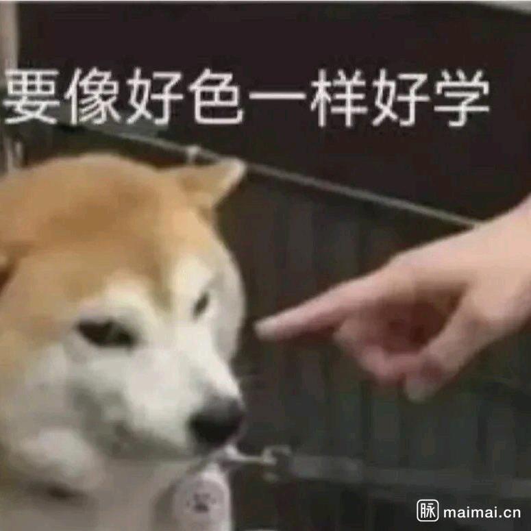 zz的pyq