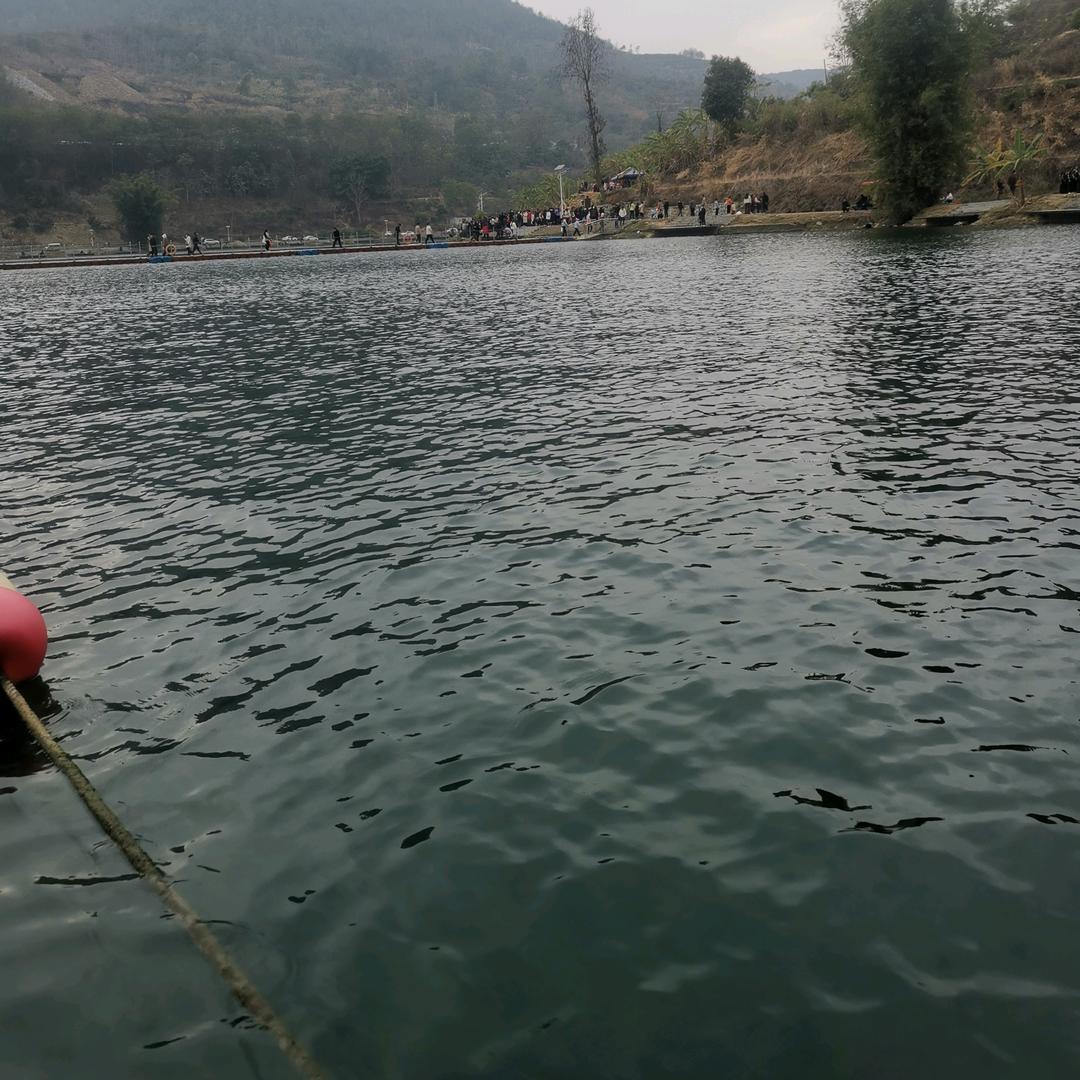 🍃余身🌸随心❤️