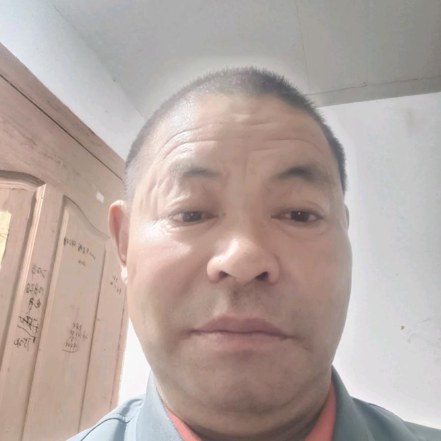 猫哥好物分享