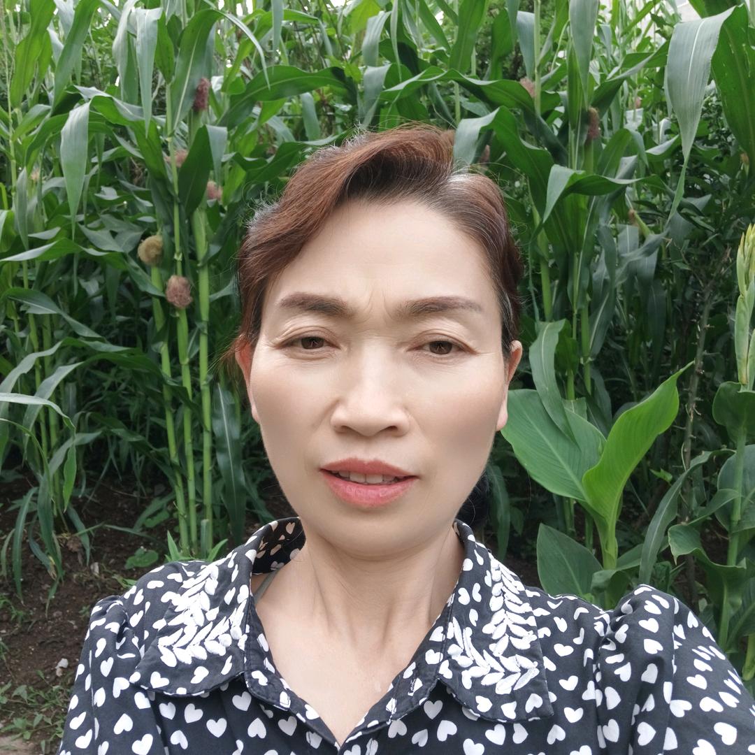 李友芬
