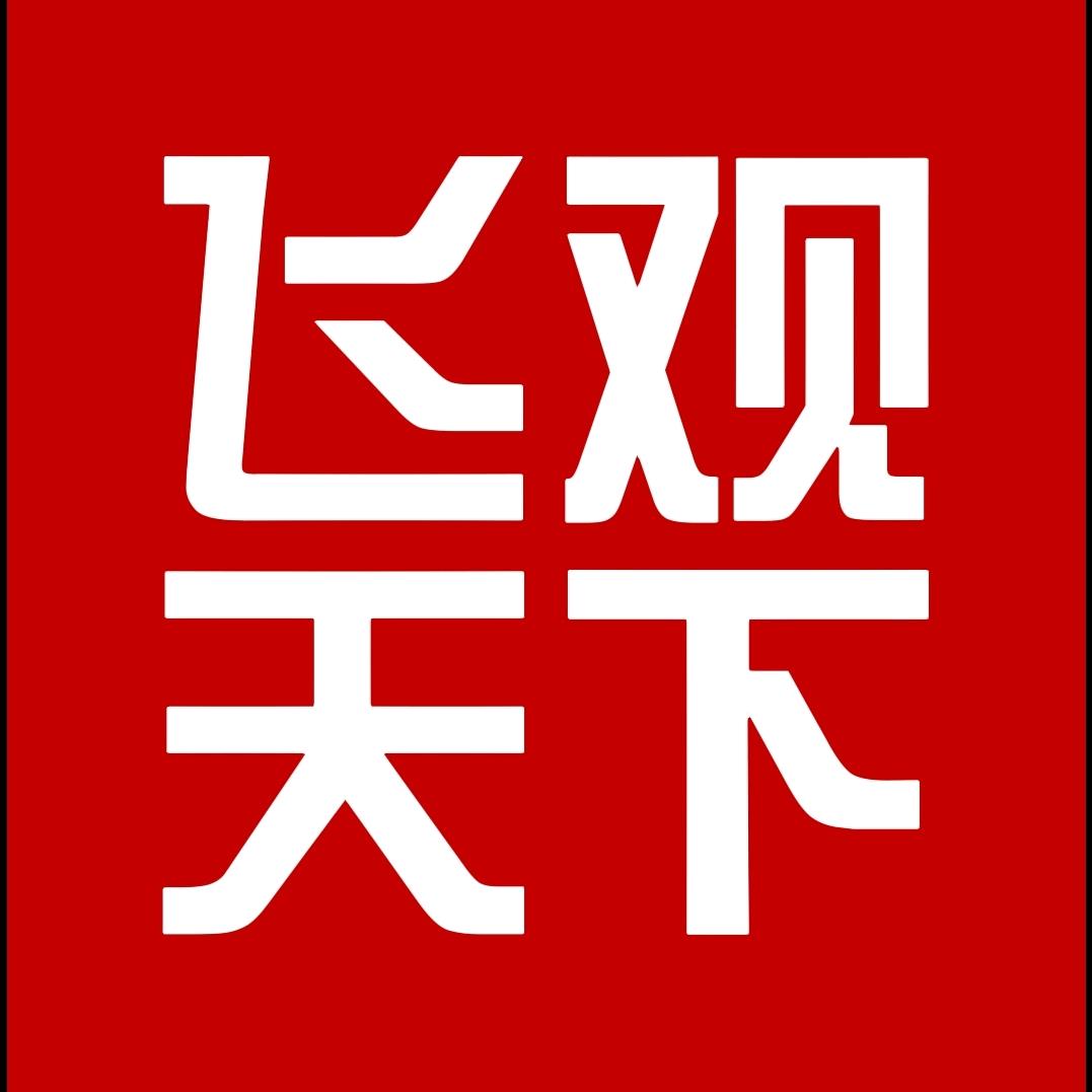飞观天下