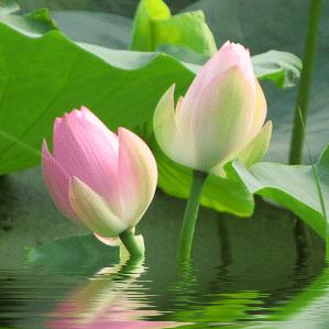 🌈 风和日丽😉