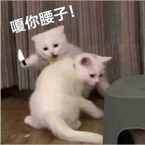 繁华😂落尽
