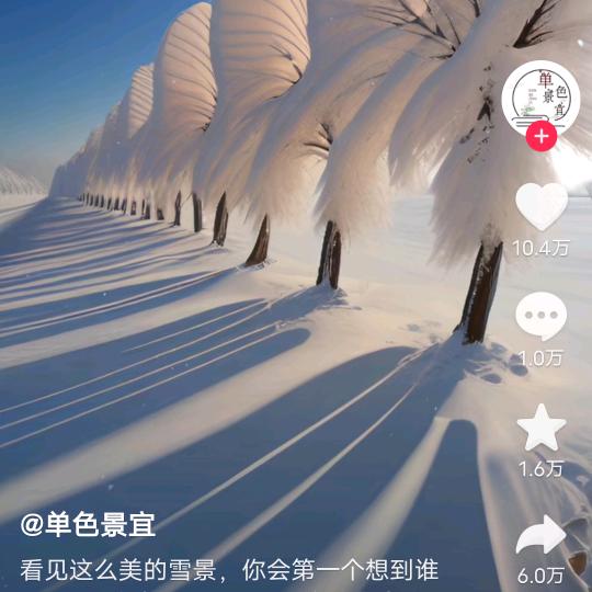 阳光天地
