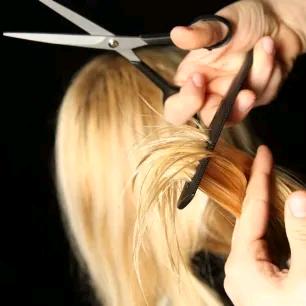 广饶县经典酷发杨辉