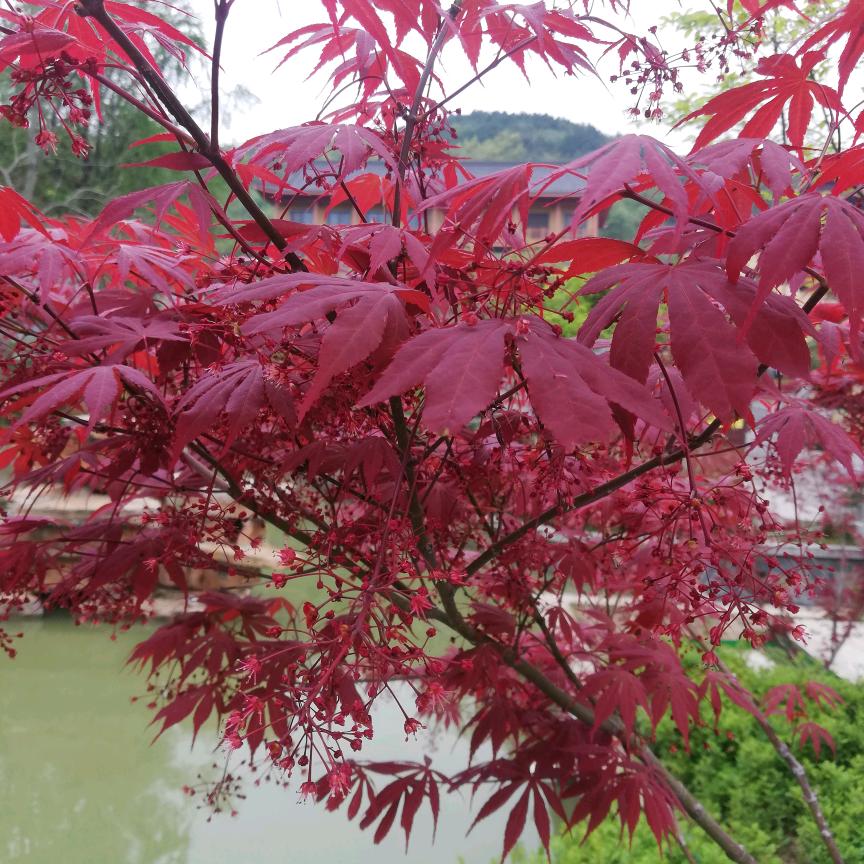 良善之美