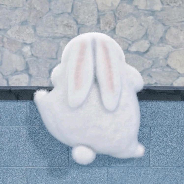 LLL🐰