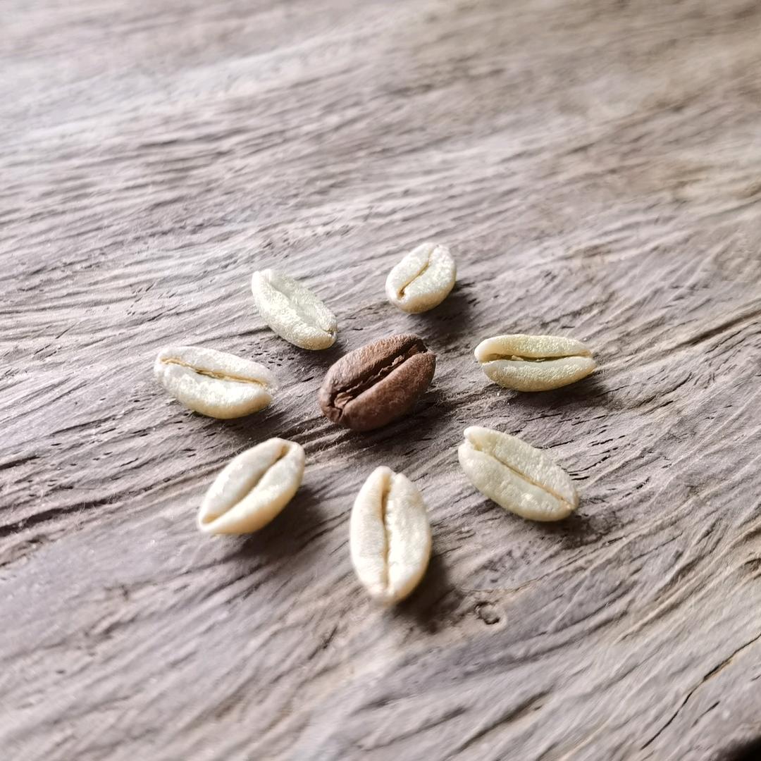 茶壶双狂