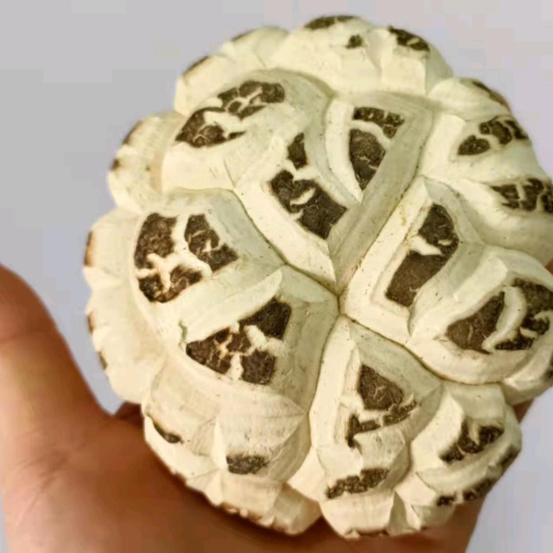 王品香菇（小号）