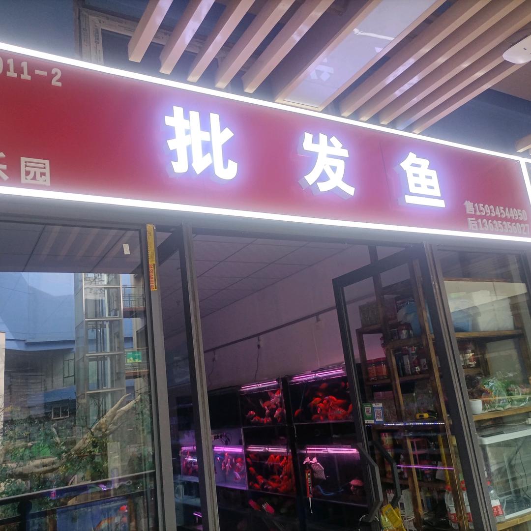 永和李哥百汇观赏鱼1593454950
