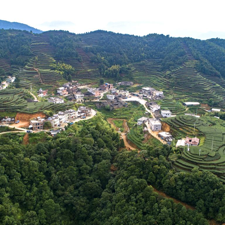 潮南区胪岗源芳茶行