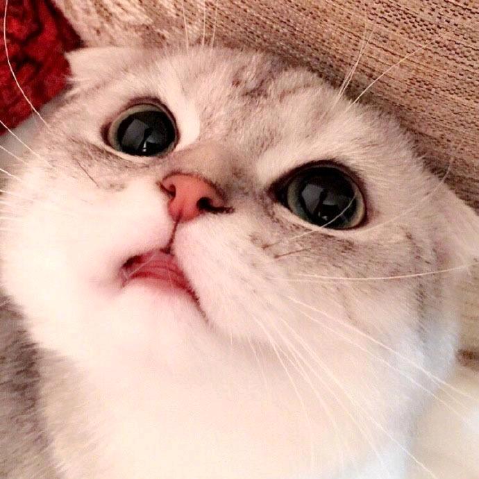 琳小喵 🔥