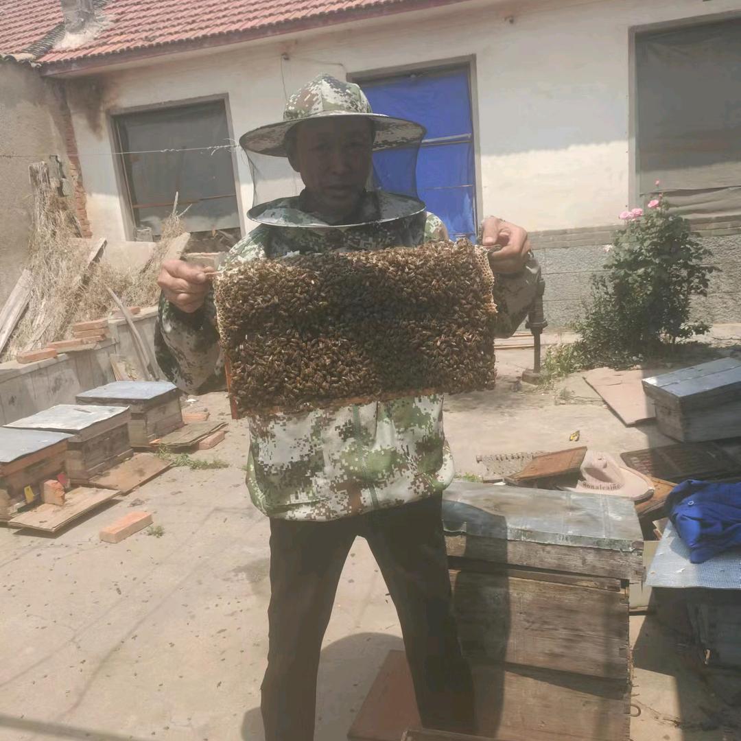 我爱蜜蜂