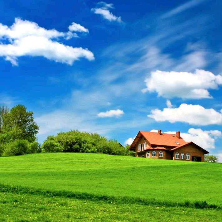 ↙无怨☆の↙无悔☆