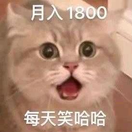 雨落丶丶