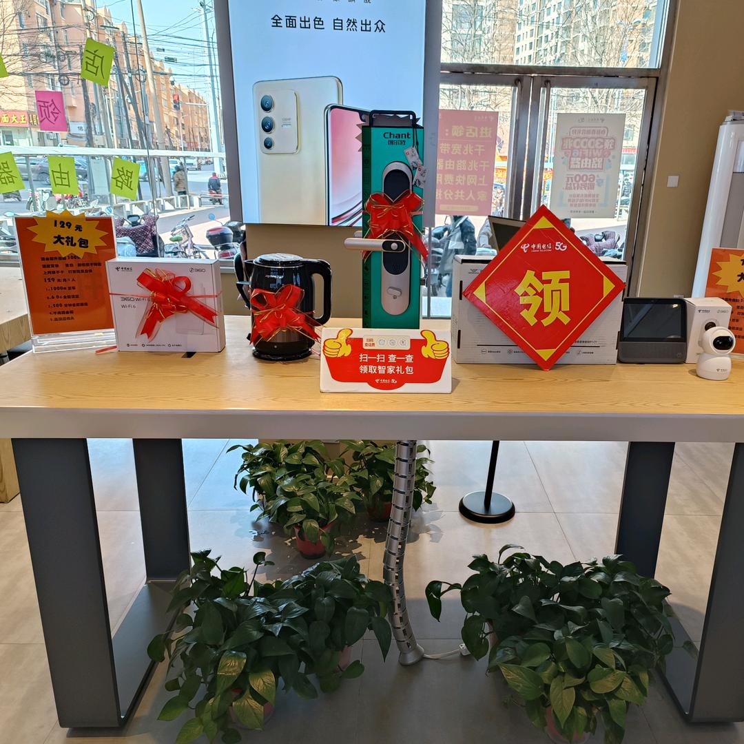 桥西电信小段(省话费)