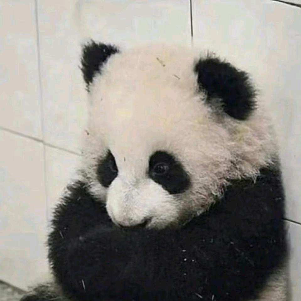 陈云莲715