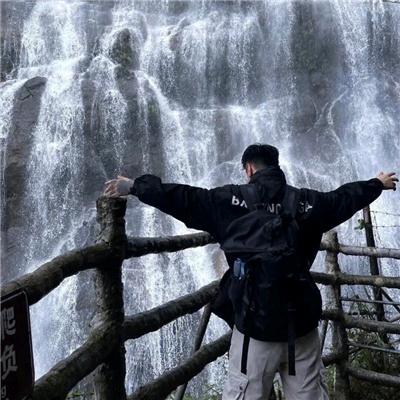 画骨成沙