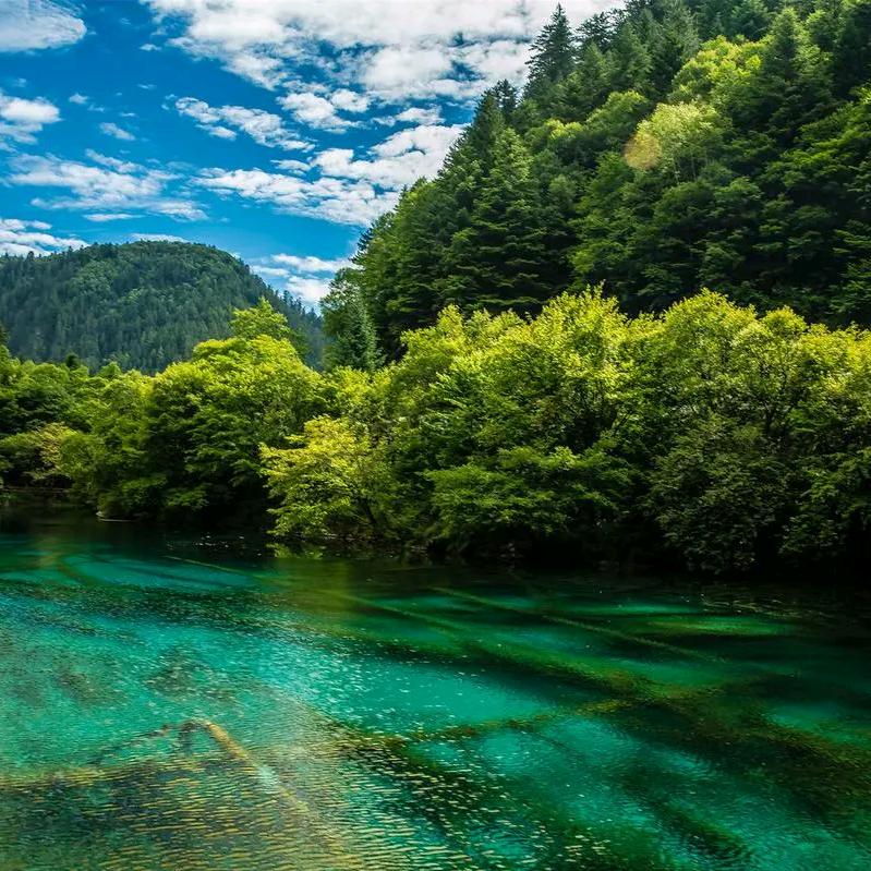 韩哥商贸有限公司